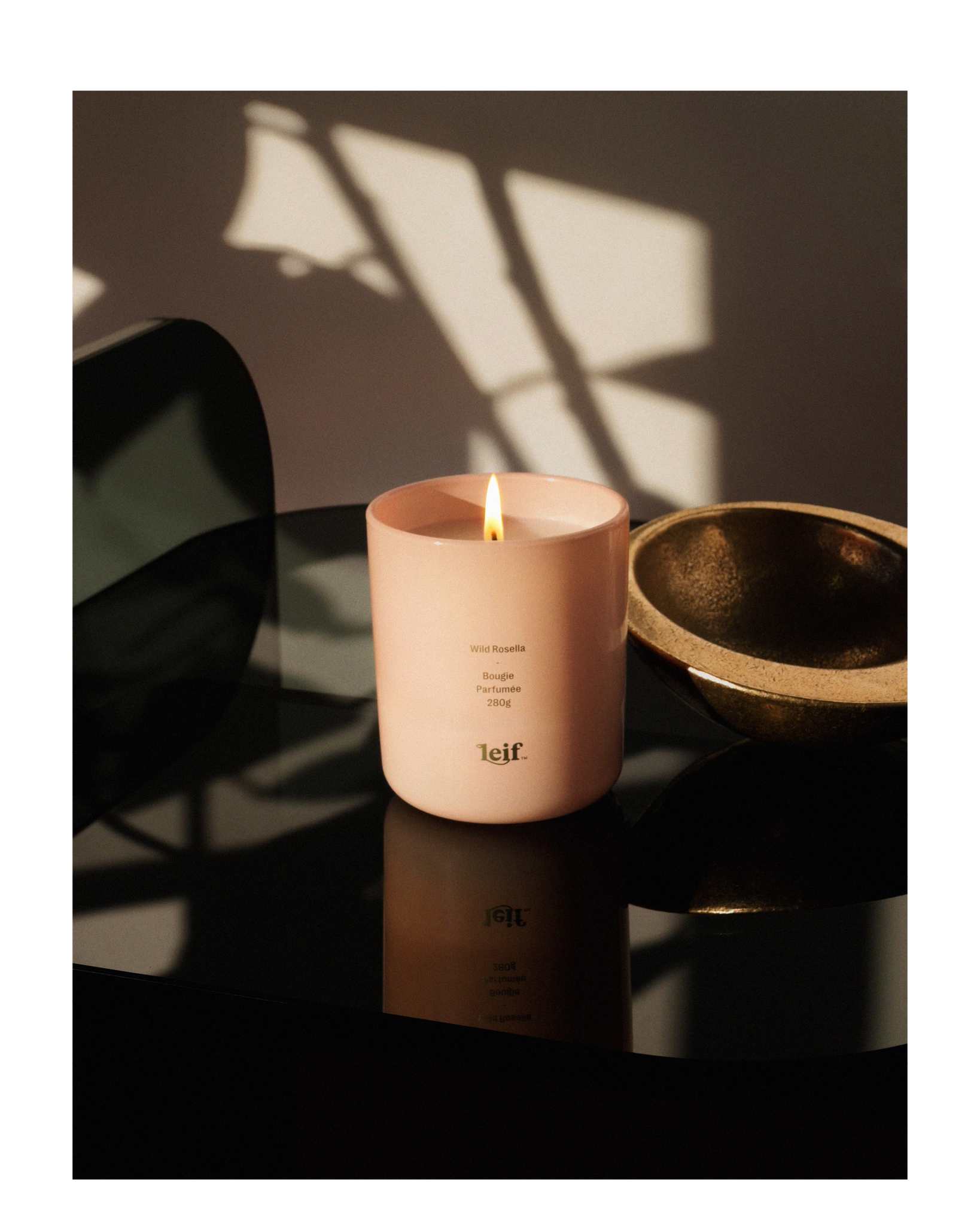 Candle: Wild Rosella