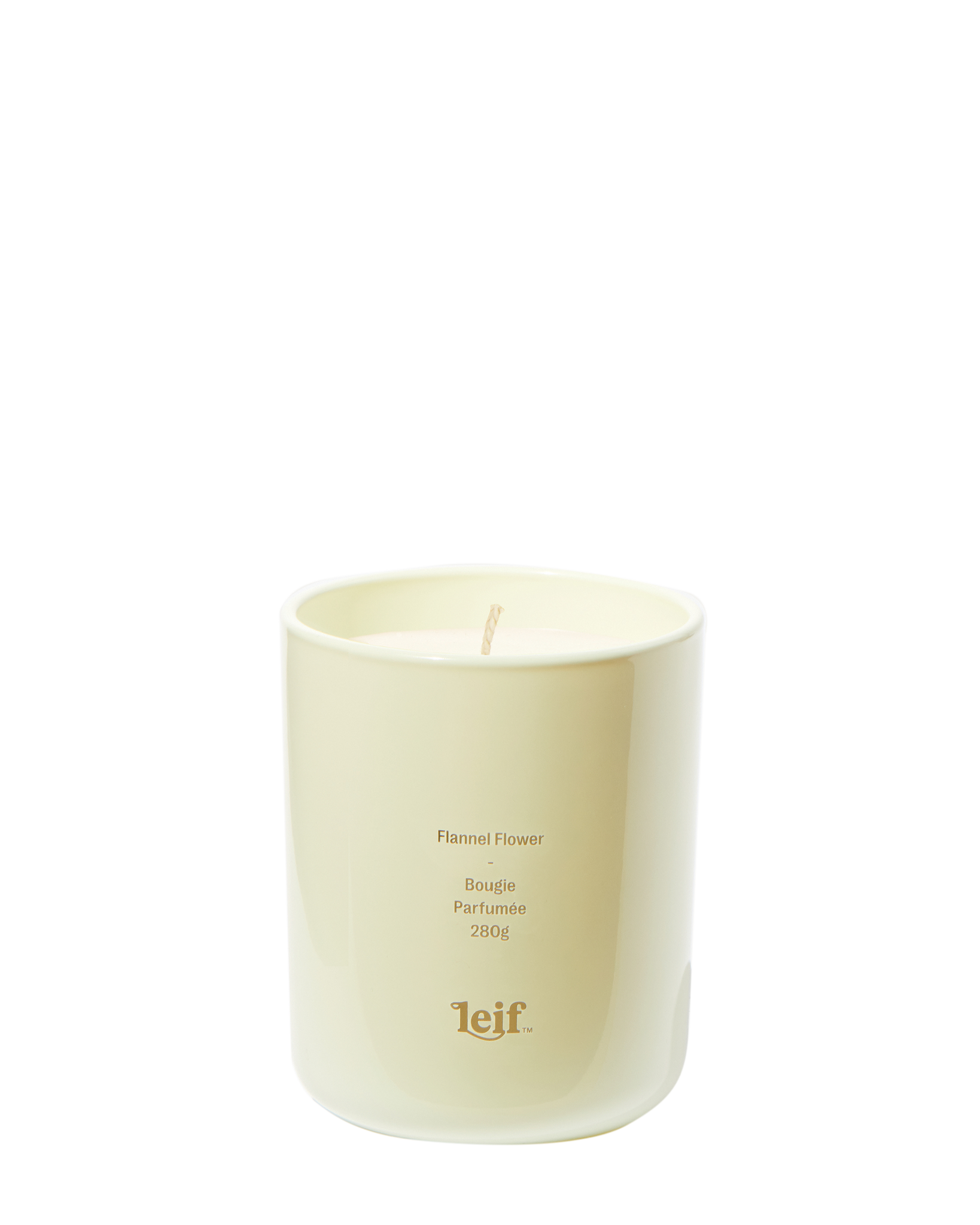 Candle: Flannel Flower