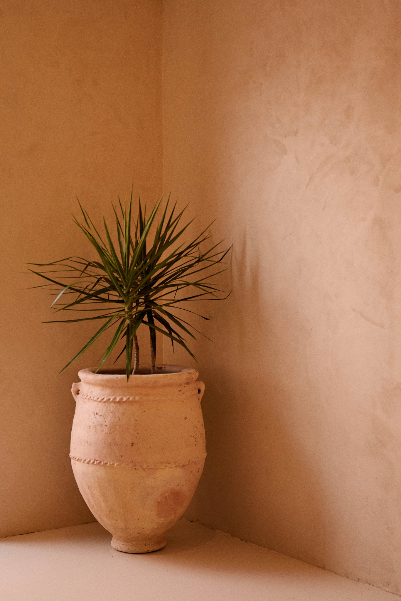 Moroccan Terracotta Pot